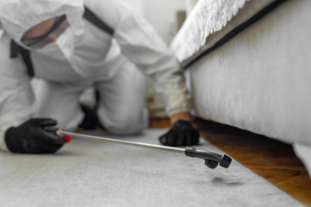 Professional Bed Bug Control technician working in Berwyn Heights, MD