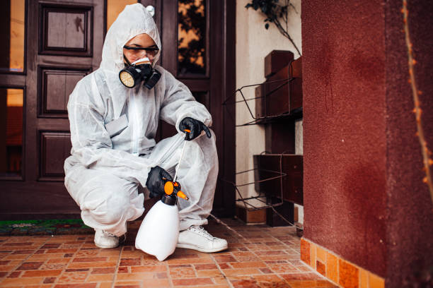 Reliable Bed Bug Control contractor in Berwyn Heights, MD by Nex Pest Control
