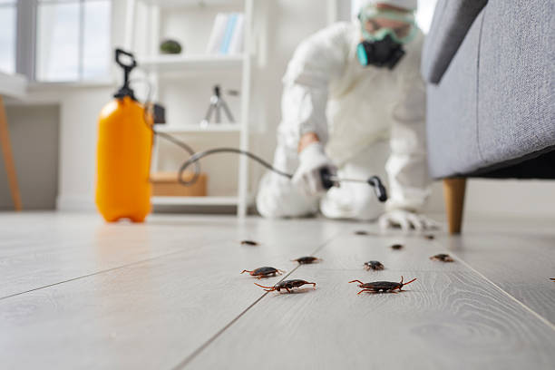 Trusted Termite Control service in Berwyn Heights, MD - Nex Pest Control