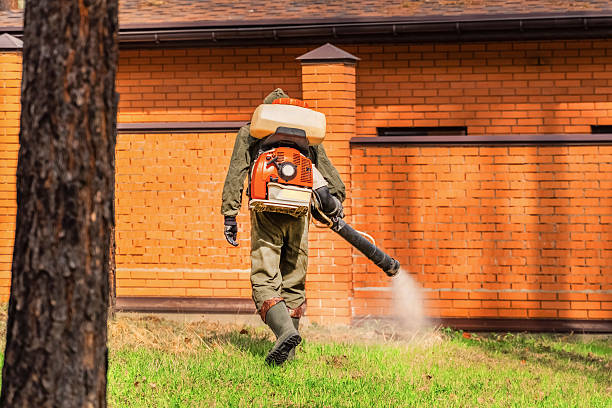 Trusted Cockroach Control service in Berwyn Heights, MD - Nex Pest Control